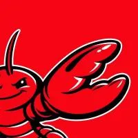 OpenClaw Chrome MCP logo